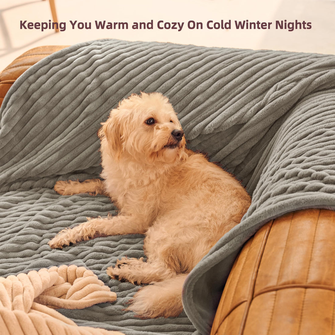 GOTCOZY Electric Heated Throw – Green, 50"x60"