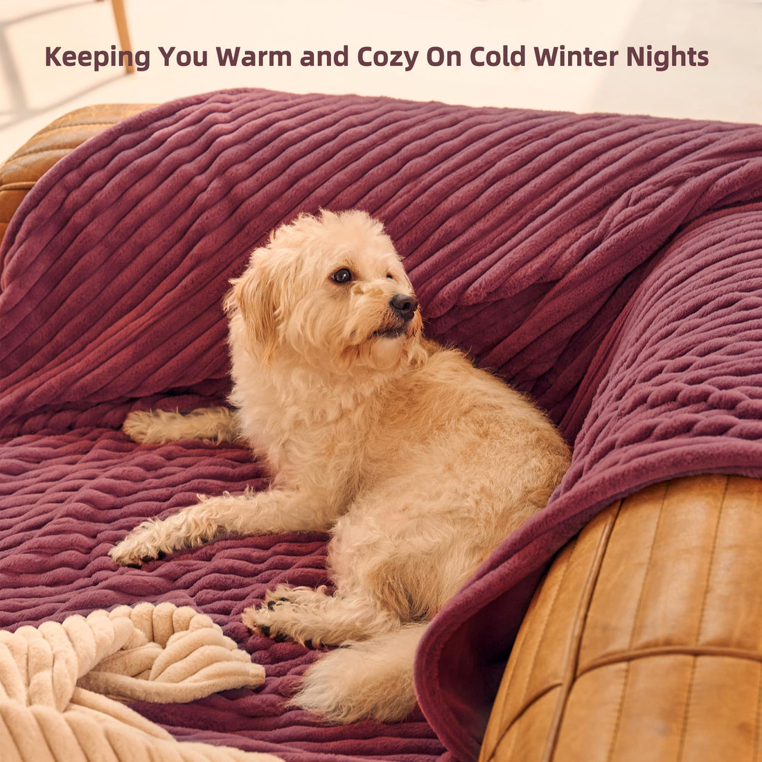 GOTCOZY Electric Heated Throw – Green, 50"x60"