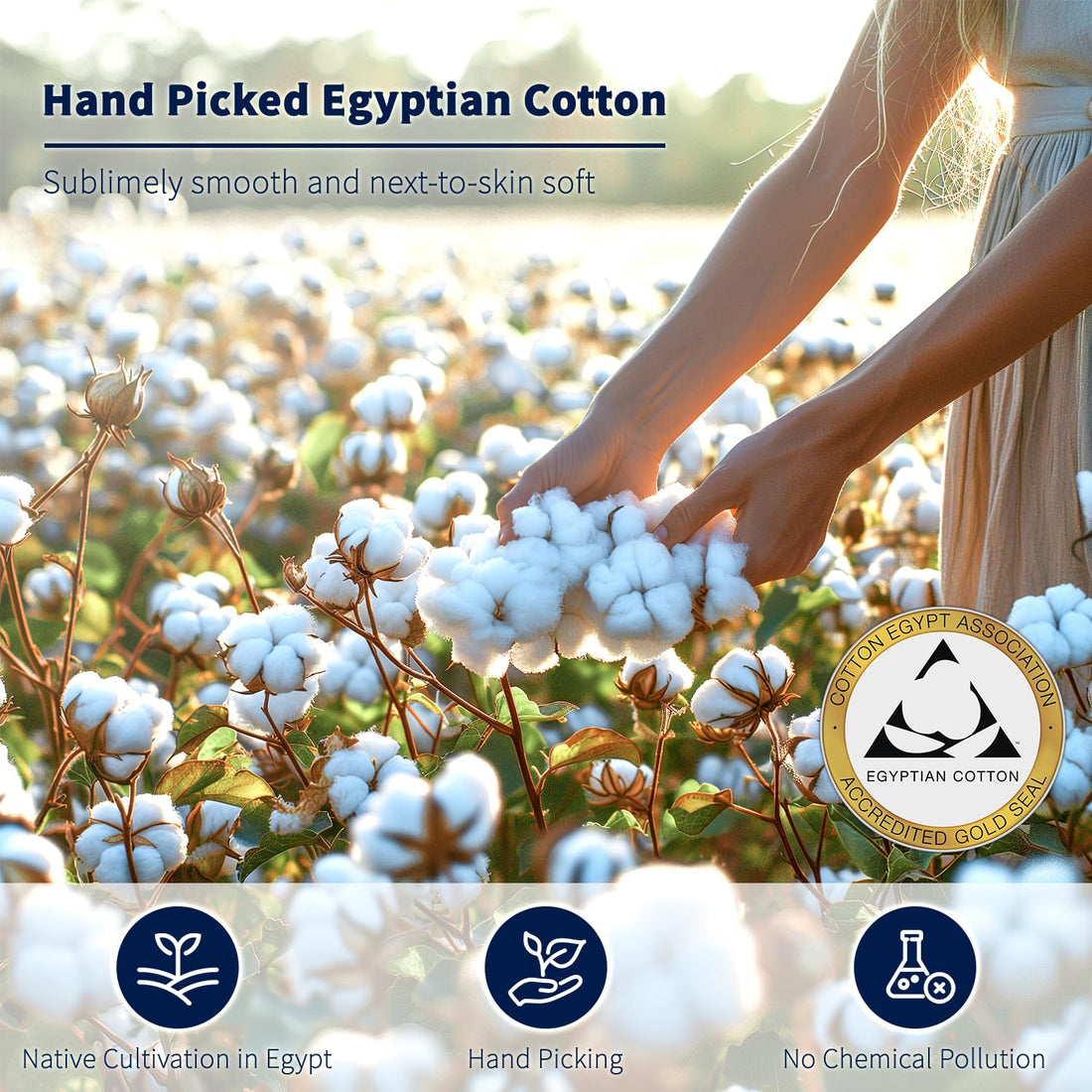 Shilucheng Egyptian Cotton Sheets – Queen
